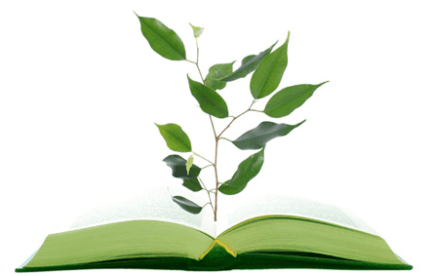 ResourceDetailTopImage